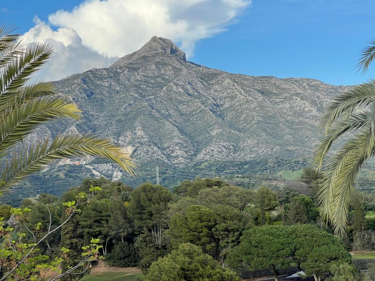 Aloha Villa